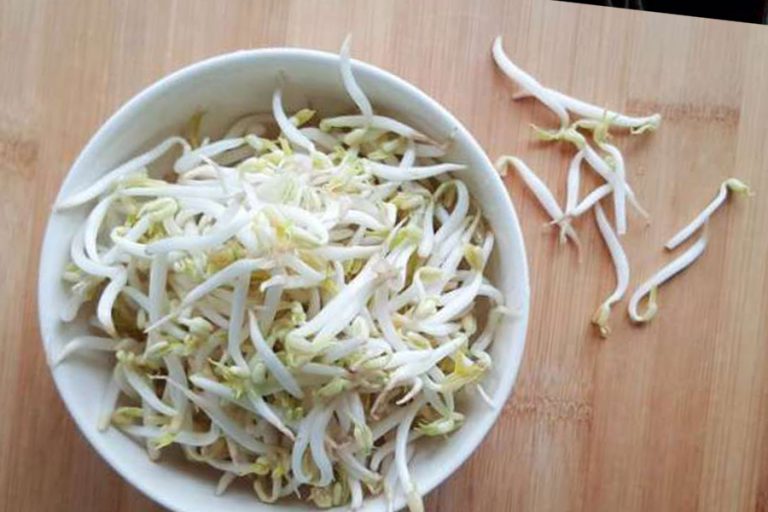 6 Health Benefits of Bean Sprouts You Should Know About - Unitary News